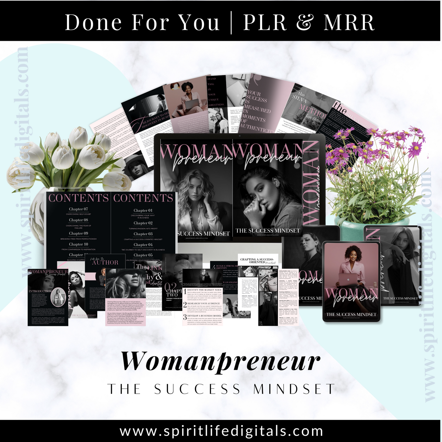 Womanpreneur: The Success Mindset E-book With MRR